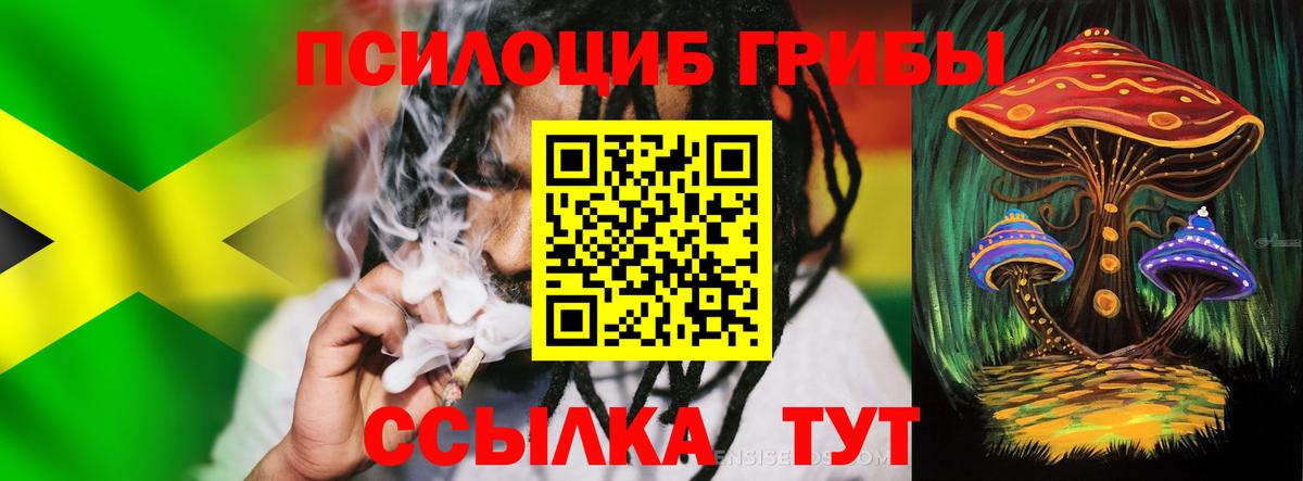 Псилоцибиновые грибы Psilocybe  Вход с VPN  Рузаевка 